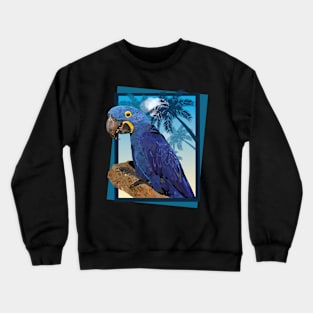 Hyacinth macaw Crewneck Sweatshirt